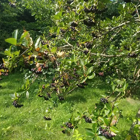 Prázdninový dům Natury Harmonia *