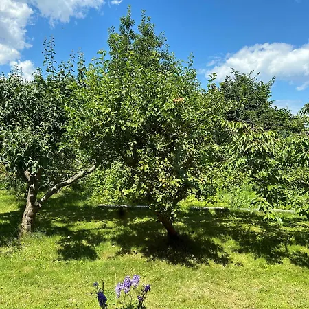 Holiday home Natury Harmonia