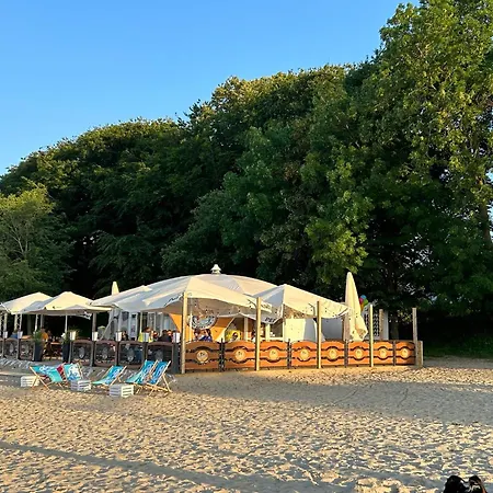 Natury Harmonia * Puck