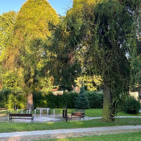 Natury Harmonia Puck