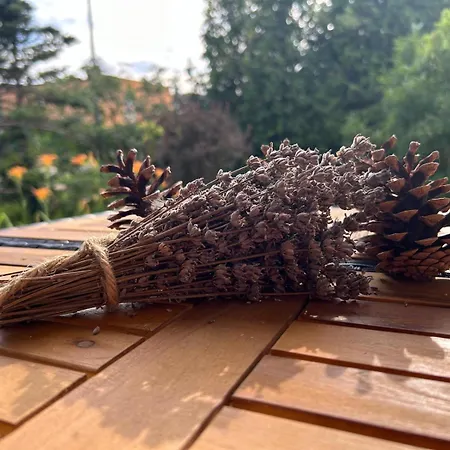 Natury Harmonia Prázdninový dům Puck