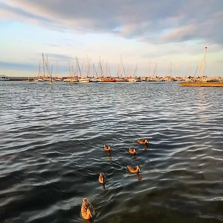 Holiday home Natury Harmonia Puck