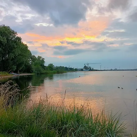 Natury Harmonia Puck