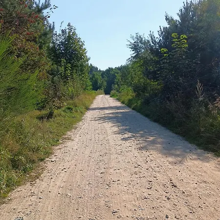 Natury Harmonia Puck