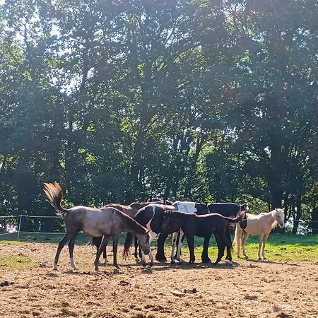 Holiday home Natury Harmonia