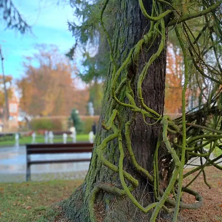 Holiday home Natury Harmonia Puck