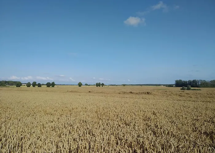 Natury Harmonia Puck