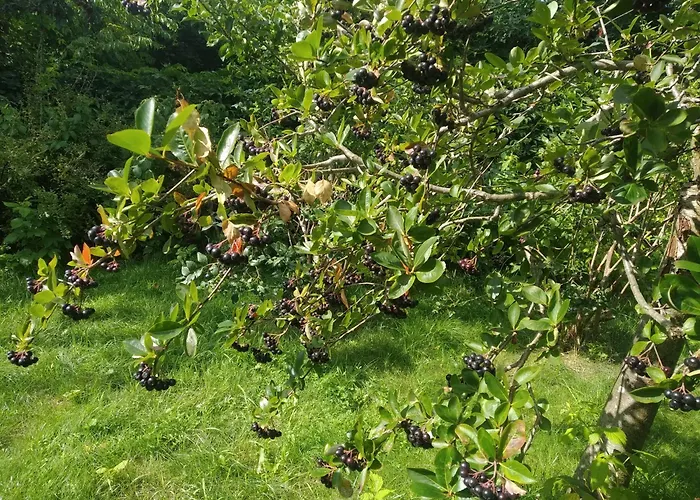 Vakantiehuis Natury Harmonia *