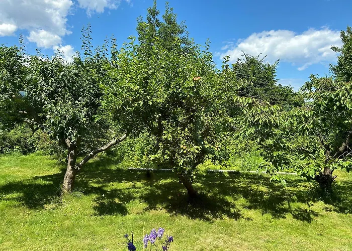 Vakantiehuis Natury Harmonia