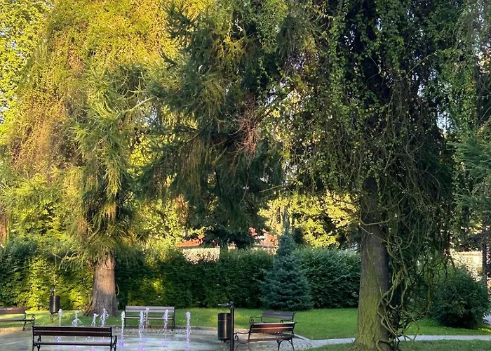 Natury Harmonia Puck