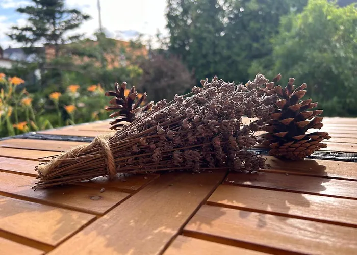 Natury Harmonia Dom wakacyjny Puck