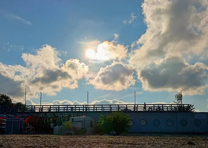 Natury Harmonia Puck