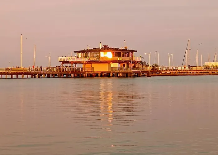 Natury Harmonia Puck