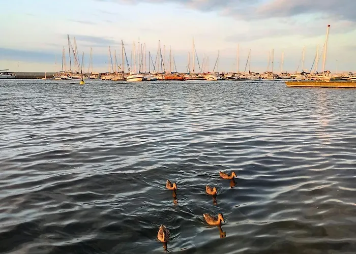 Vakantiehuis Natury Harmonia Puck