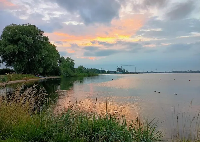 Natury Harmonia Puck