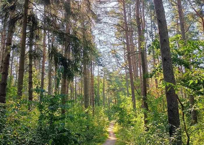 Vakantiehuis Natury Harmonia