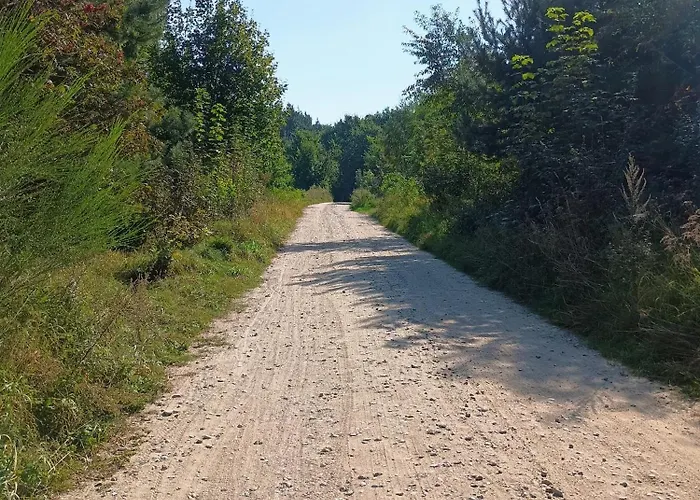 Natury Harmonia Puck