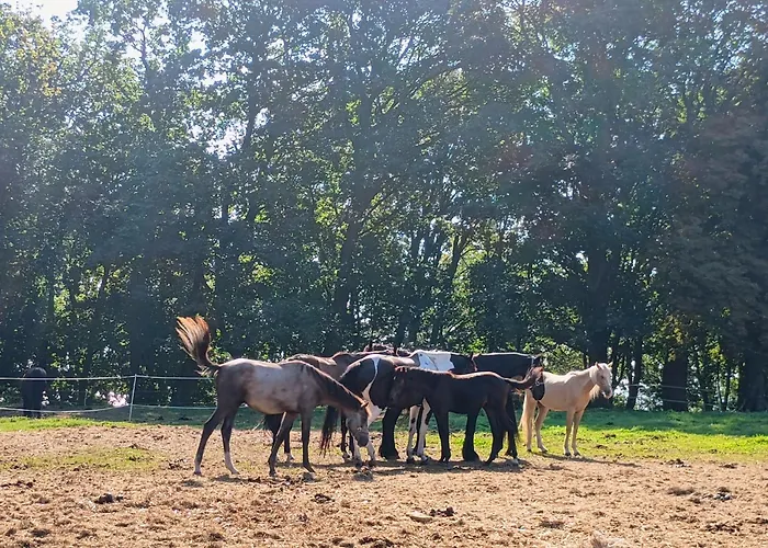 Vakantiehuis Natury Harmonia