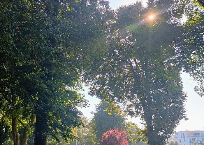 Vakantiehuis Natury Harmonia *